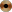 Sâge ! Sâge !